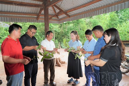 Điện Biên: An sinh xã hội tạo động lực cho phát triển bền vững